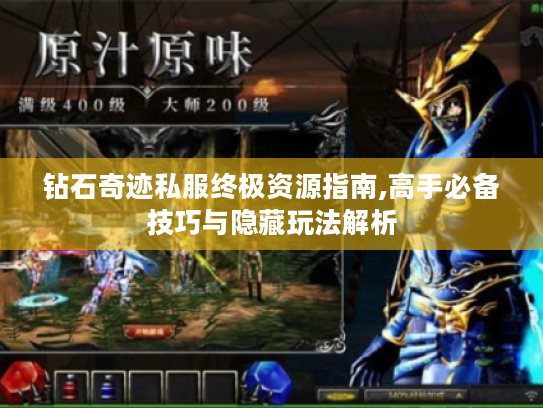 钻石奇迹私服终极资源指南,高手必备技巧与隐藏玩法解析