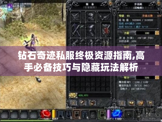 钻石奇迹私服终极资源指南,高手必备技巧与隐藏玩法解析