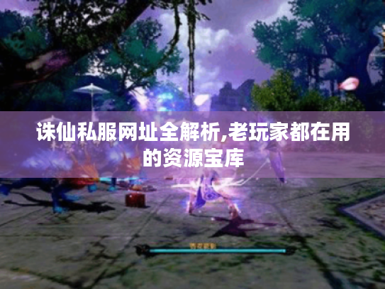 诛仙私服网址全解析,老玩家都在用的资源宝库