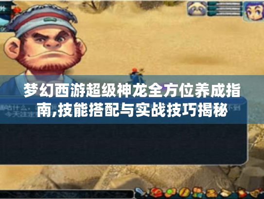 梦幻西游超级神龙全方位养成指南,技能搭配与实战技巧揭秘