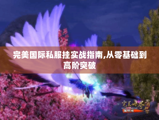 完美国际私服挂实战指南,从零基础到高阶突破