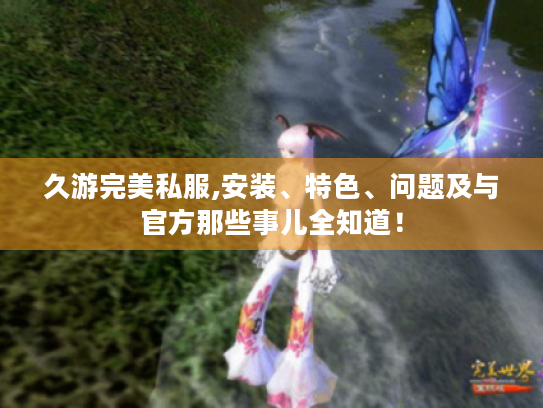 久游完美私服,安装、特色、问题及与官方那些事儿全知道！