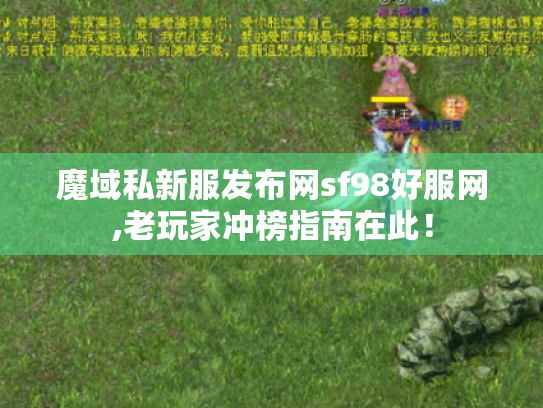 魔域私新服发布网sf98好服网,老玩家冲榜指南在此！