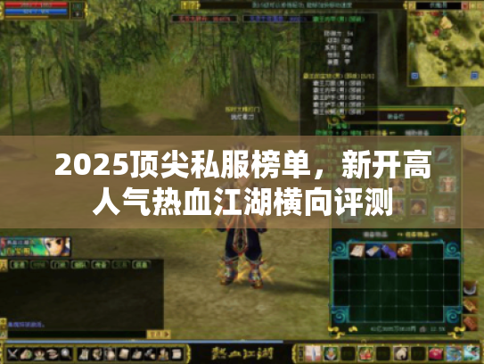 2025顶尖私服榜单，新开高人气热血江湖横向评测
