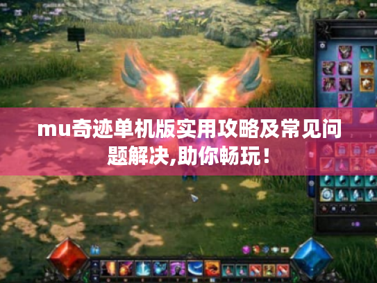 mu奇迹单机版实用攻略及常见问题解决,助你畅玩！