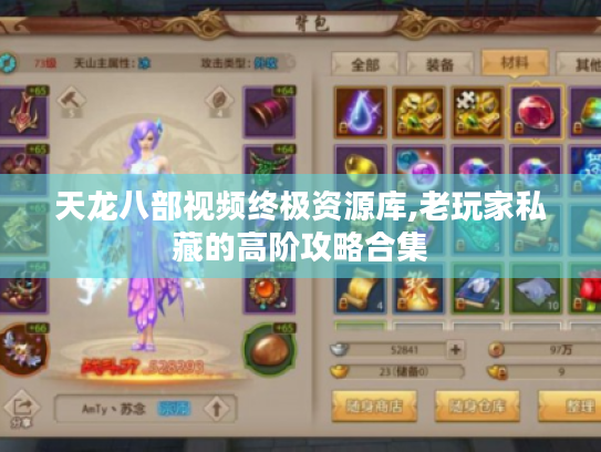 天龙八部视频终极资源库,老玩家私藏的高阶攻略合集
