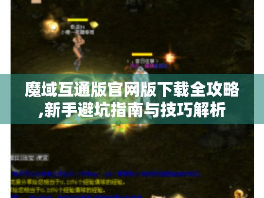 魔域互通版官网版下载全攻略,新手避坑指南与技巧解析