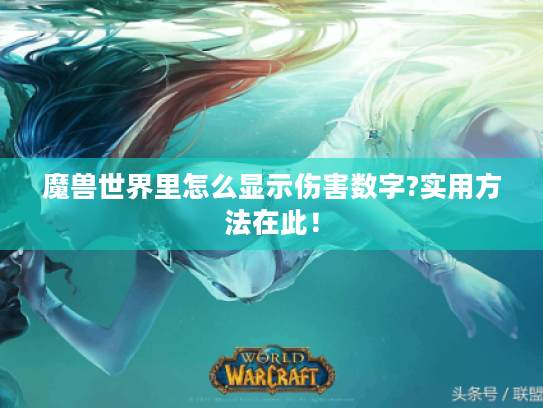 魔兽世界里怎么显示伤害数字?实用方法在此！