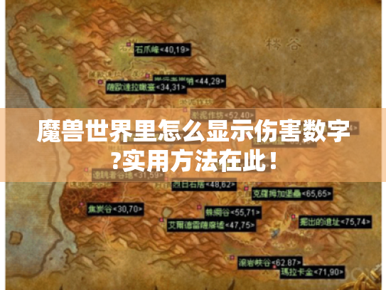 魔兽世界里怎么显示伤害数字?实用方法在此！