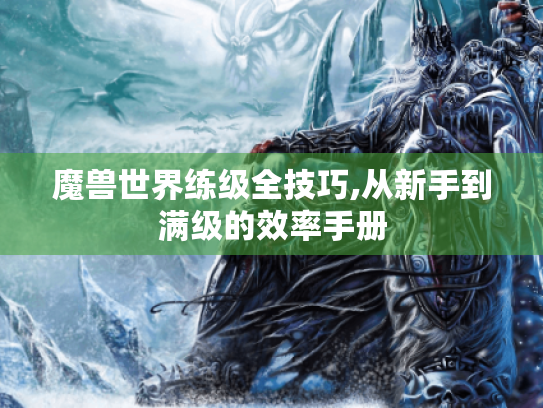 魔兽世界练级全技巧,从新手到满级的效率手册