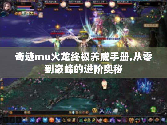 奇迹mu火龙终极养成手册,从零到巅峰的进阶奥秘