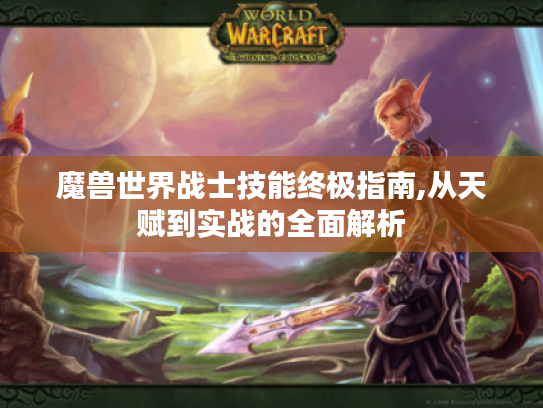 魔兽世界战士技能终极指南,从天赋到实战的全面解析