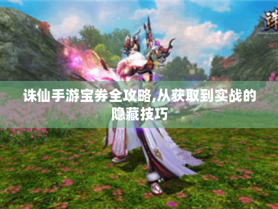 诛仙手游宝券全攻略,从获取到实战的隐藏技巧