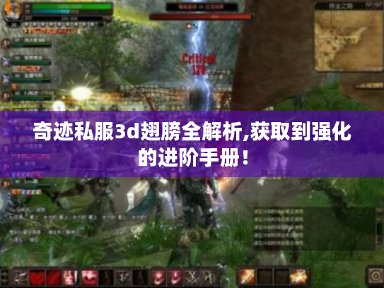 奇迹私服3d翅膀全解析,获取到强化的进阶手册! 奇迹私服3d翅膀全解析,获取到强化的进阶手册!