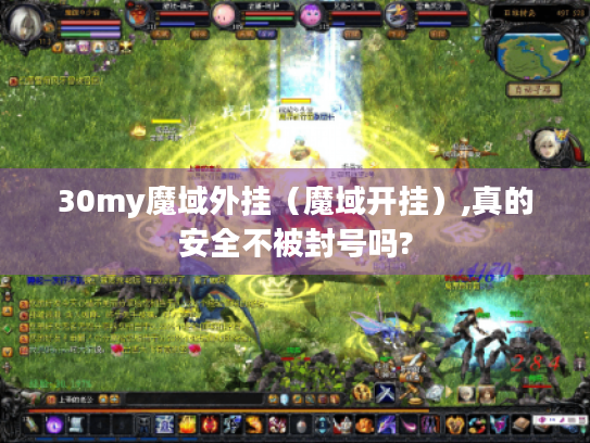 30my魔域外挂（魔域开挂）,真的安全不被封号吗?