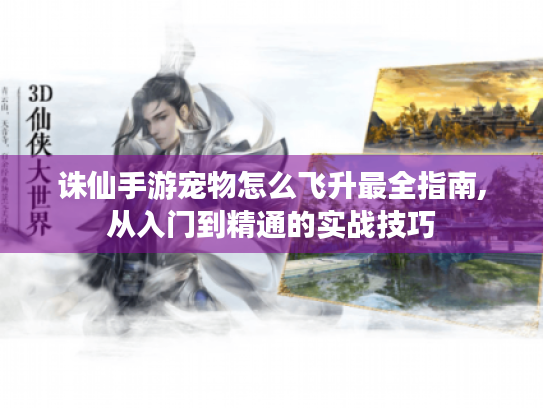 诛仙手游宠物怎么飞升最全指南,从入门到精通的实战技巧