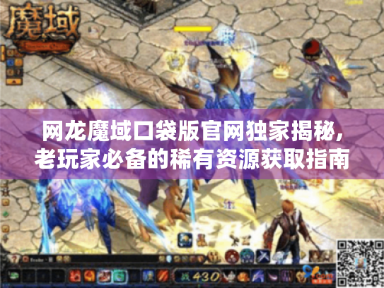 网龙魔域口袋版官网独家揭秘,老玩家必备的稀有资源获取指南