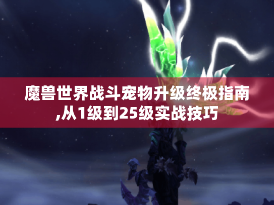 魔兽世界战斗宠物升级终极指南,从1级到25级实战技巧