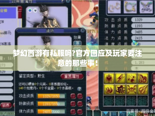 梦幻西游有私服吗?官方回应及玩家要注意的那些事！