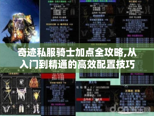 奇迹私服骑士加点全攻略,从入门到精通的高效配置技巧