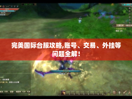 完美国际台服攻略,账号、交易、外挂等问题全解！