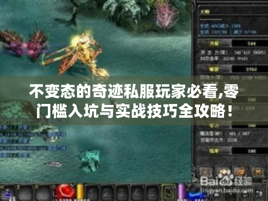 不变态的奇迹私服玩家必看,零门槛入坑与实战技巧全攻略！