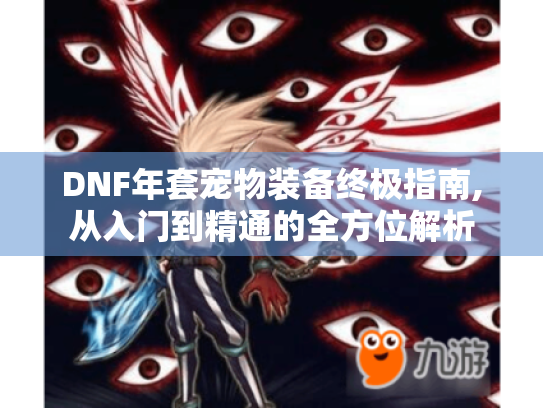 DNF年套宠物装备终极指南,从入门到精通的全方位解析