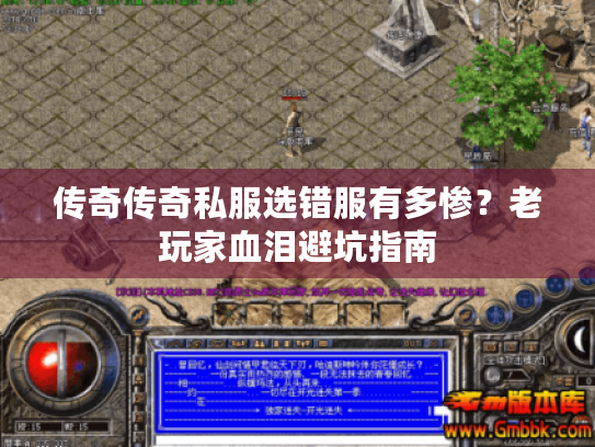 传奇传奇私服选错服有多惨？老玩家血泪避坑指南