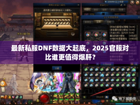最新私服DNF数据大起底，2025官服对比谁更值得爆肝？