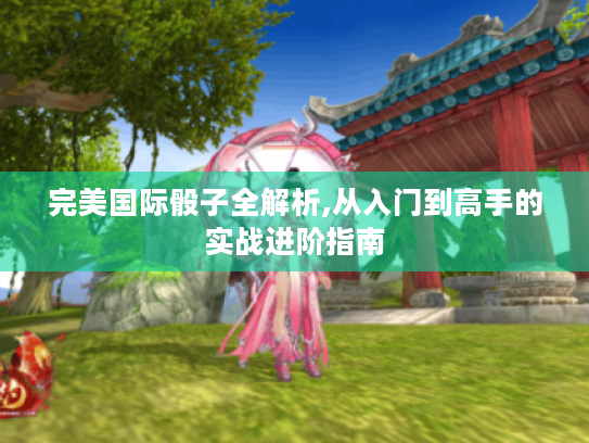 完美国际骰子全解析,从入门到高手的实战进阶指南