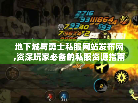 地下城与勇士私服网站发布网,资深玩家必备的私服资源指南