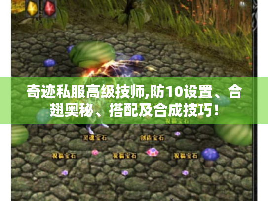 奇迹私服高级技师,防10设置、合翅奥秘、搭配及合成技巧！