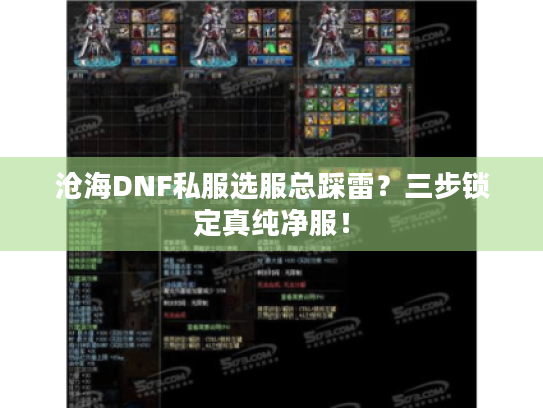 沧海DNF私服选服总踩雷？三步锁定真纯净服！