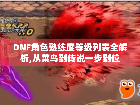 DNF角色熟练度等级列表全解析,从菜鸟到传说一步到位