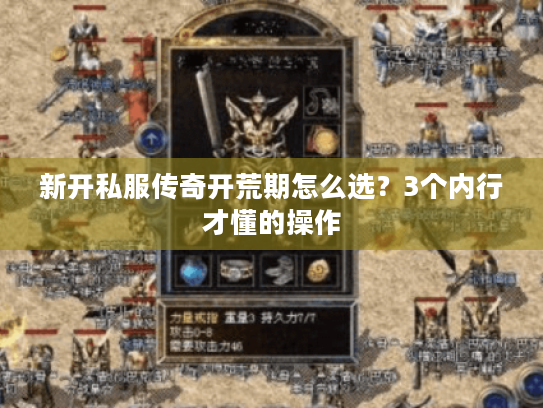 新开私服传奇开荒期怎么选？3个内行才懂的操作