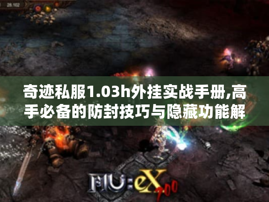 奇迹私服1.03h外挂实战手册,高手必备的防封技巧与隐藏功能解锁 奇迹私服1.03h外挂实战手册,高手必备的防封技巧与隐藏功能解锁