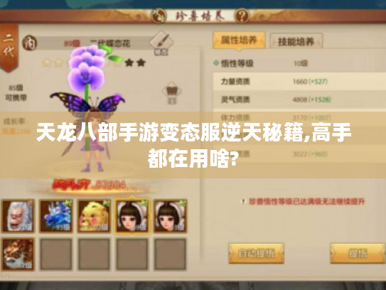 天龙八部手游变态服逆天秘籍,高手都在用啥?