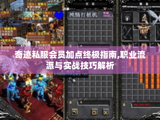 奇迹私服会员加点终极指南,职业流派与实战技巧解析 奇迹私服会员加点终极指南,职业流派与实战技巧解析