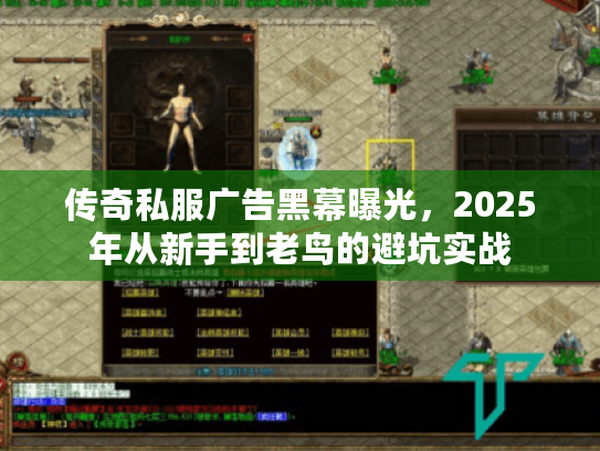 传奇私服广告黑幕曝光，2025年从新手到老鸟的避坑实战