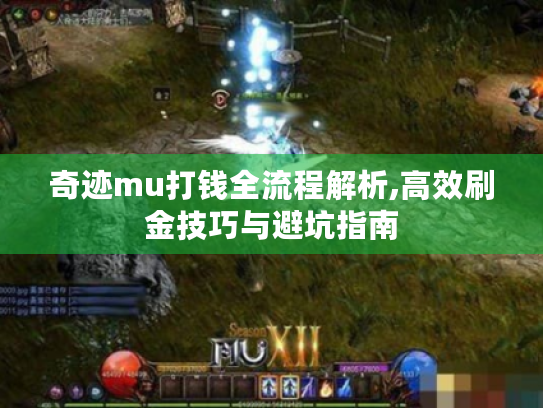 奇迹mu打钱全流程解析,高效刷金技巧与避坑指南