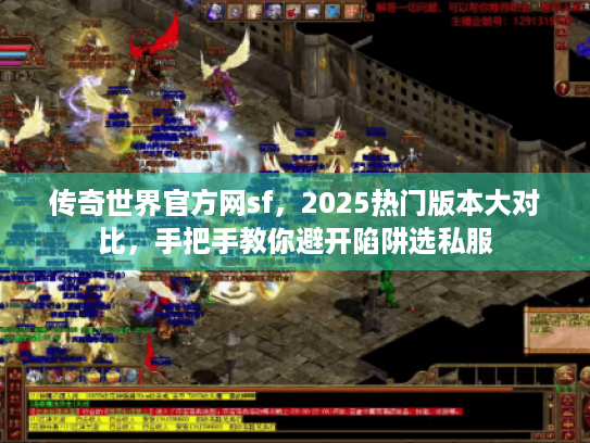 传奇世界官方网sf，2025热门版本大对比，手把手教你避开陷阱选私服