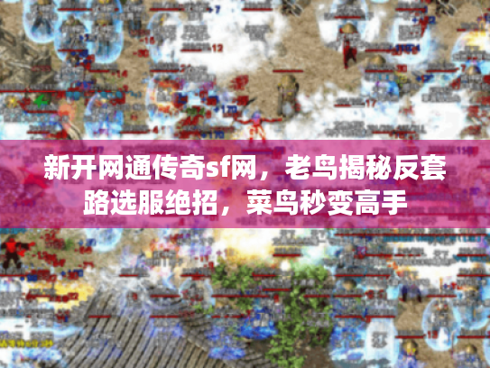 新开网通传奇sf网,老鸟揭秘反套路选服绝招,菜鸟秒变高手 新开网通传奇sf网,老鸟揭秘反套路选服绝招,菜鸟秒变高手
