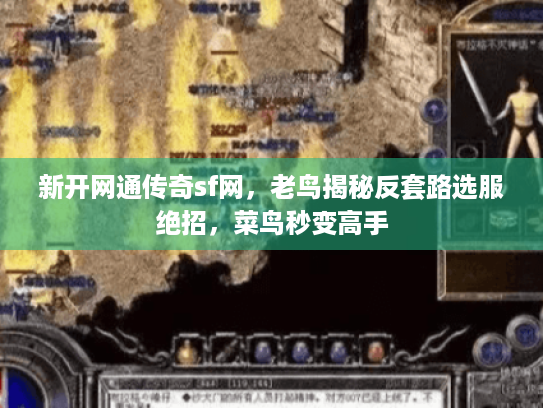 新开网通传奇sf网,老鸟揭秘反套路选服绝招,菜鸟秒变高手 新开网通传奇sf网,老鸟揭秘反套路选服绝招,菜鸟秒变高手