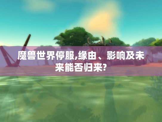 魔兽世界停服,缘由、影响及未来能否归来?