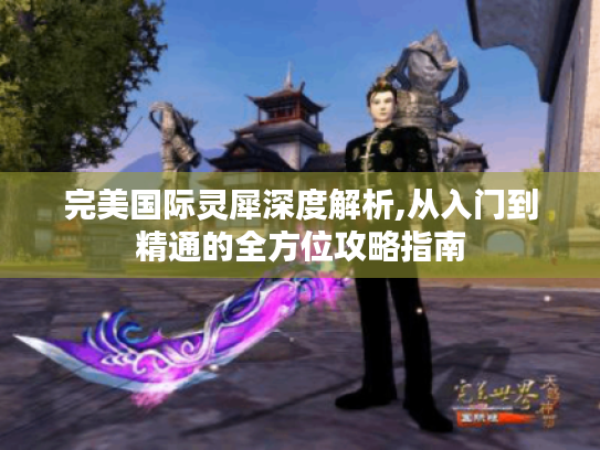 完美国际灵犀深度解析,从入门到精通的全方位攻略指南