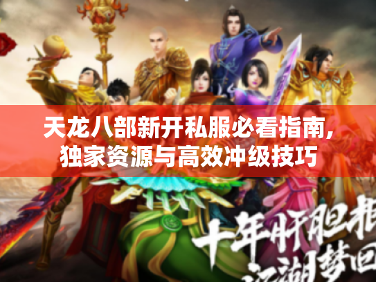 天龙八部新开私服必看指南,独家资源与高效冲级技巧