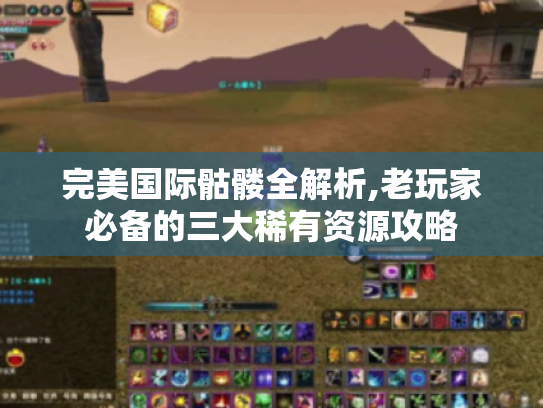 完美国际骷髅全解析,老玩家必备的三大稀有资源攻略 完美国际骷髅全解析,老玩家必备的三大稀有资源攻略