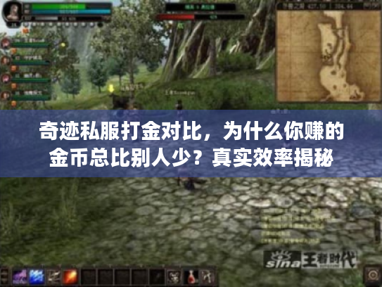 奇迹私服打金对比，为什么你赚的金币总比别人少？真实效率揭秘