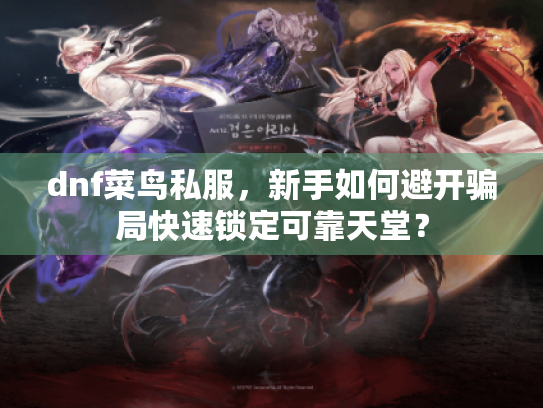 dnf菜鸟私服，新手如何避开骗局快速锁定可靠天堂？