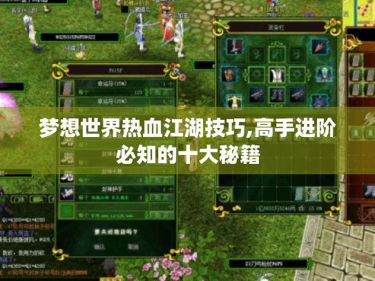 梦想世界热血江湖技巧,高手进阶必知的十大秘籍